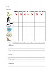 English Worksheet: have/ has got