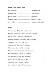 English Worksheet: possessive adjectives