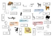 English worksheet: Animals of the world
