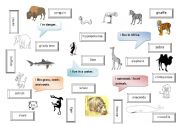 English Worksheet: Animals of the world