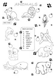 English Worksheet: animals