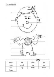 English Worksheet: body and face parts