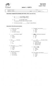 English Worksheet: quiz