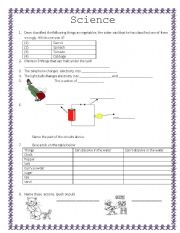 English worksheet: science