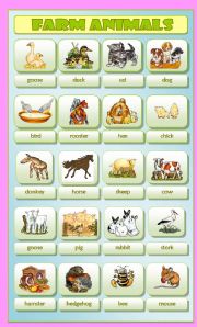 English Worksheet: Farm Animals