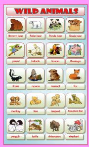 English Worksheet: Wild Animals