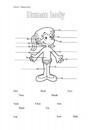 English Worksheet: Human Body