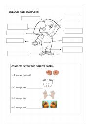 English Worksheet: BODY PARTS WITH DORA