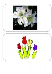 English Worksheet: Easter FLASH CARDS- SET 4 of 4