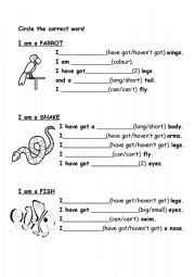 English Worksheet: ANIMALS