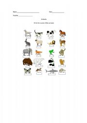 English worksheet: Animals