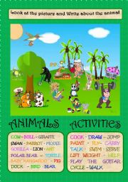 English Worksheet: ANIMALS DREAM LAND  