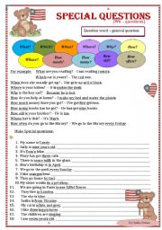 English Worksheet: Special / Wh - questions