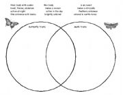 English Worksheet: Butterfly/moth compare/contrast worksheet