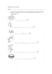 English Worksheet: 5th grade diagnostic test