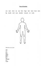 English Worksheet: parts of the body
