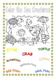 Color the Sea Creatures!