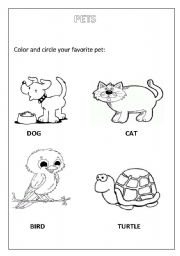 English Worksheet: pets