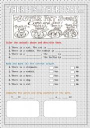 English Worksheet: PETS, THERE IS AND THERE ARE