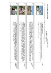 English Worksheet: Different Homes