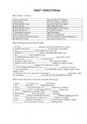 English Worksheet: First Conditional