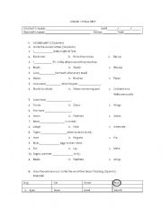 English Worksheet: TEST 