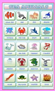 English Worksheet: Sea Animals