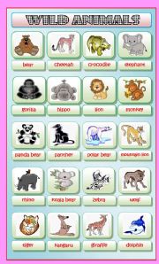 English Worksheet: Wild Animals