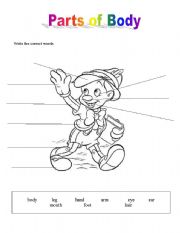 English Worksheet: Parts of body