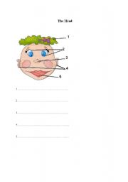 English worksheet: The Head