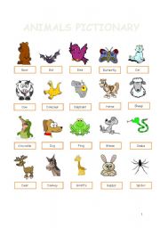 English Worksheet: animals with pictures and puzzles 
