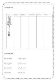 English Worksheet: simple present