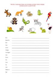 English Worksheet: COMPARATIVES and SUPERLATIVES