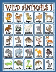 English Worksheet: wild animals 1