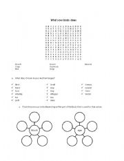 English Worksheet: Verbs and parts of the body