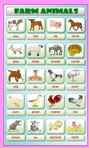 English Worksheet: Farm Animals