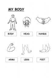 English worksheet: My Body Vocabulary