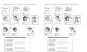 English Worksheet: MY FAMILY TREE