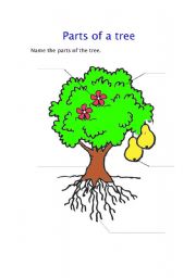 English worksheet: parts of a tree