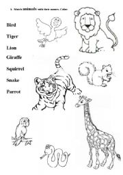 English Worksheet: Animals. Match and color.