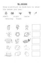 English Worksheet: My senses