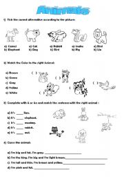 _Animals_ exercises