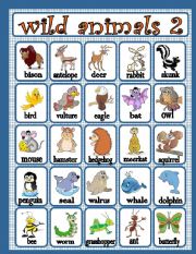 English Worksheet: wild animals 2