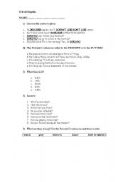 English worksheet: Test: Present Simple, Present Continuous