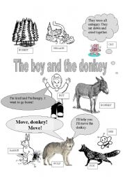 English worksheet: The boy and the donkey