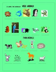 English worksheet: Animals