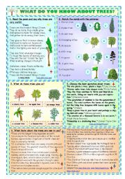 English Worksheet: What Do You Know About Trees?