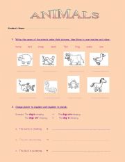 English Worksheet: Animals Test