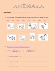 English worksheet: Animals Test