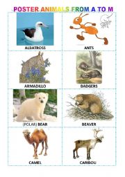 Alphabetical poster of animals from A to M + exercises + game